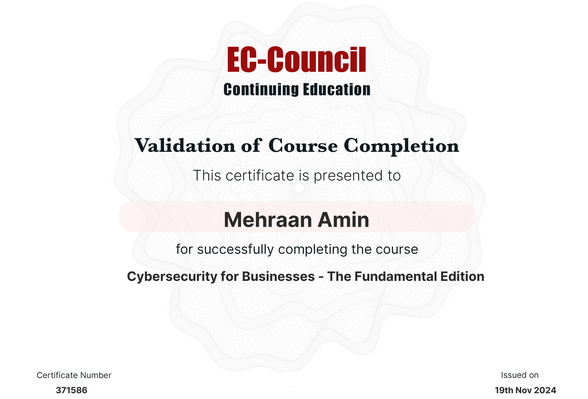 CYBERSECURITY BUSINESS